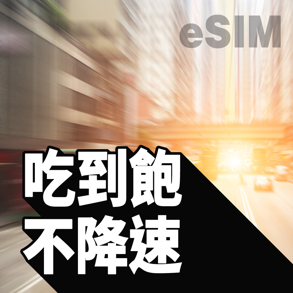 不降速吃到飽專區 eSIM