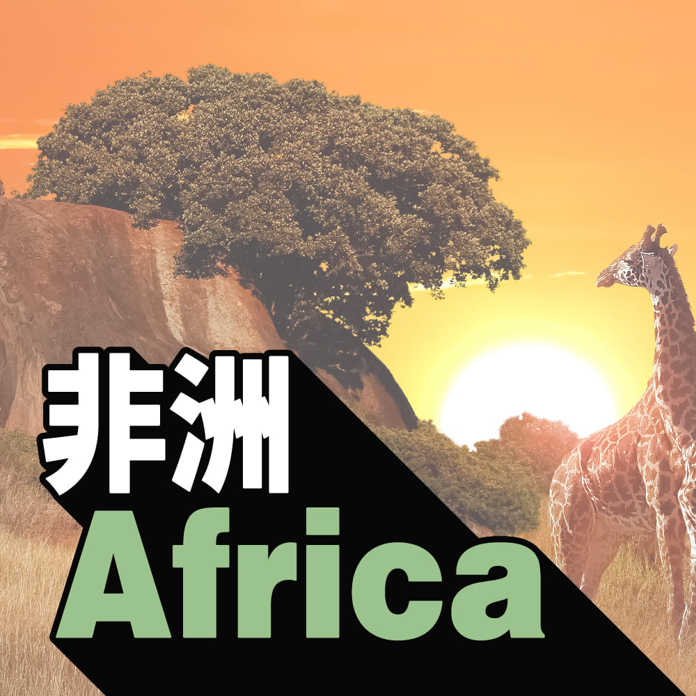 非洲產品