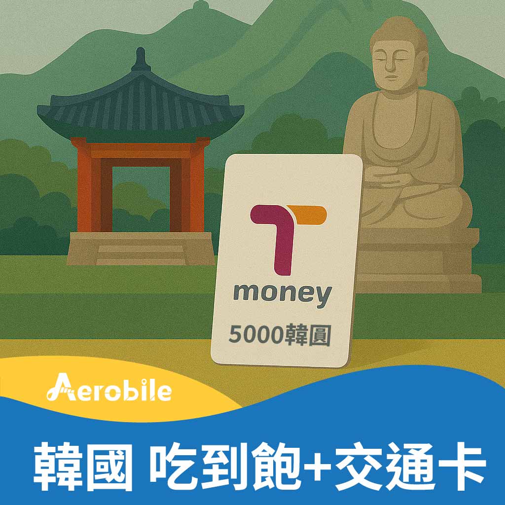 【韓國韓流卡】+【T-money交通卡內含5000韓圓】超值組合-高速無限量吃到飽-(BA)可熱點分享